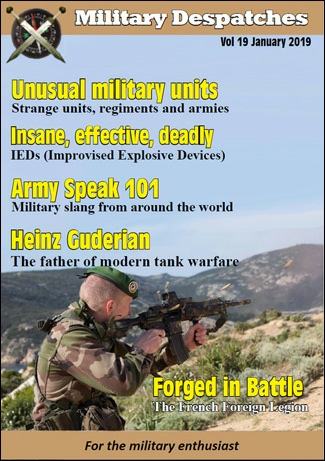 Vol 19 January 2019.pdf