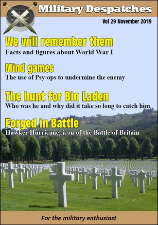 Vol 29 November 2019.pdf