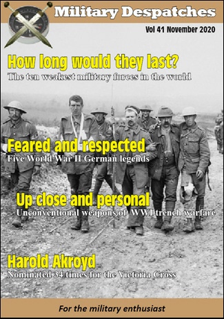 Vol 41 November 2020.pdf
